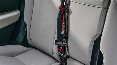  Kurgo Direct to Seatbelt Tether: Associated Accessory Products (AAP)*,* 