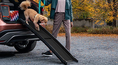  PetSafe® Happy Ride Folding Dog Ramp: Associated Accessory Products (AAP)*,* 