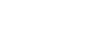 Mobil 1
