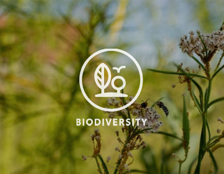 biodiversity icon