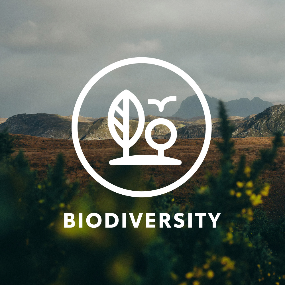 biodiversity icon