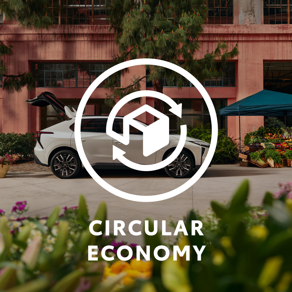 circular economy icon