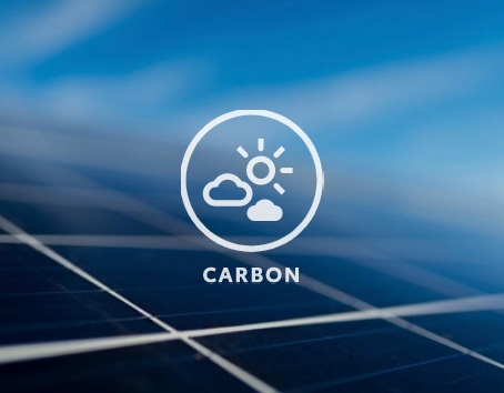 Carbon2x Icon
