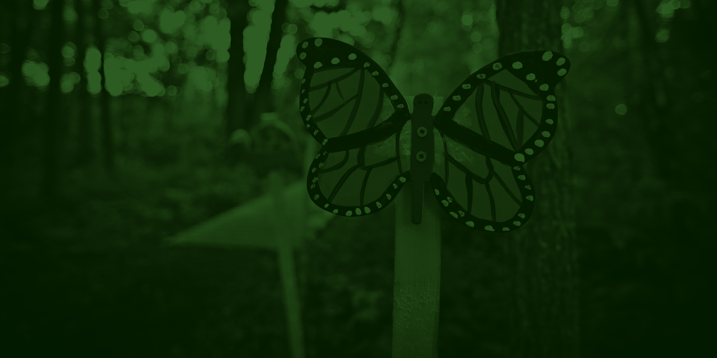 bio_education_header