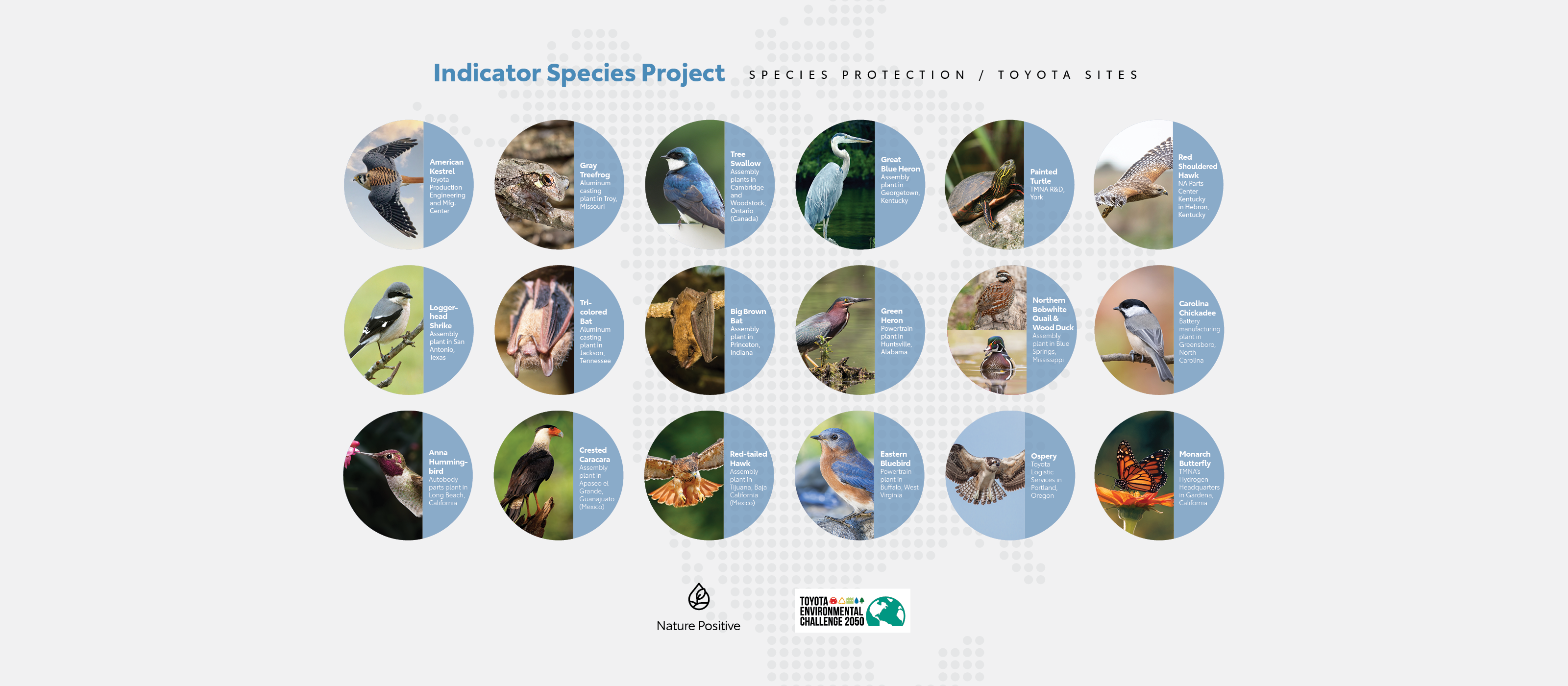 82411 Indicator Species Infographic Update