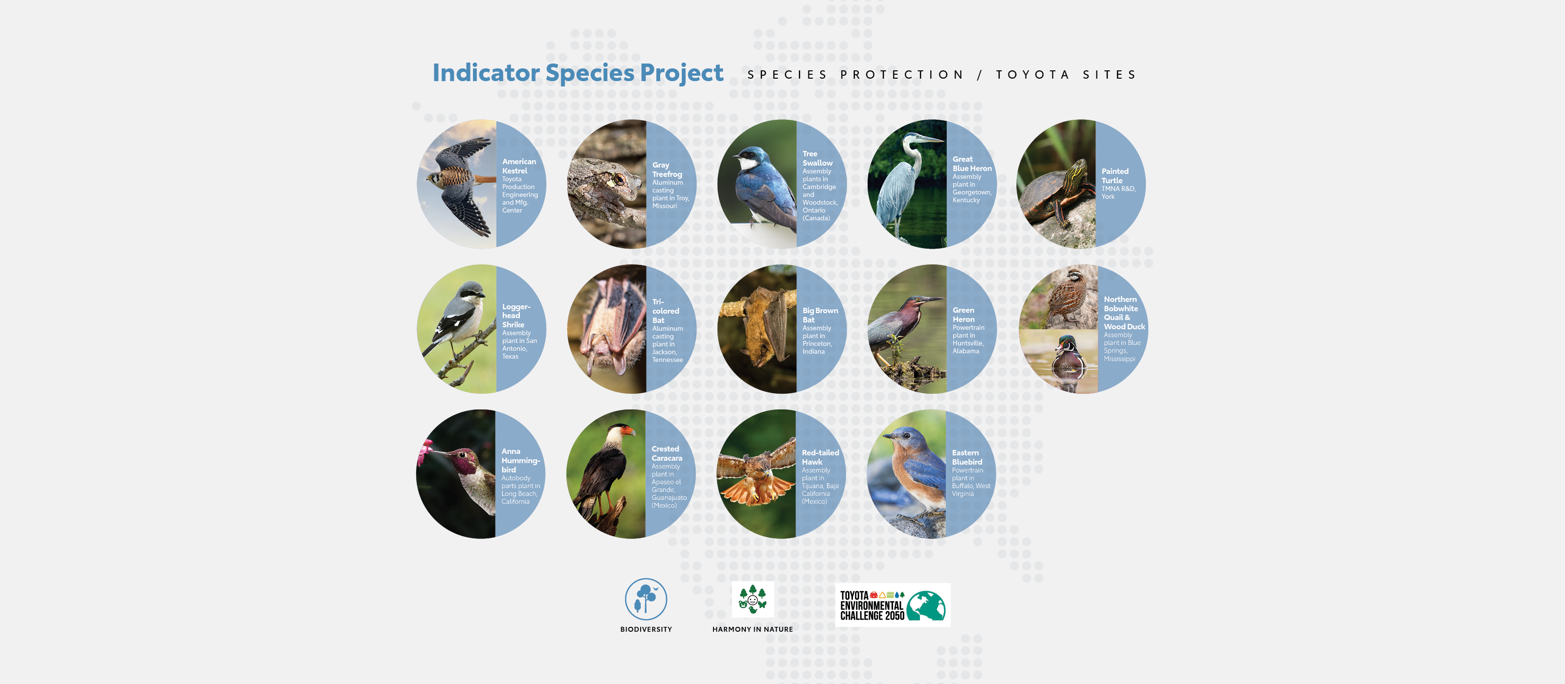 Web_Indicator_Species_Graphics