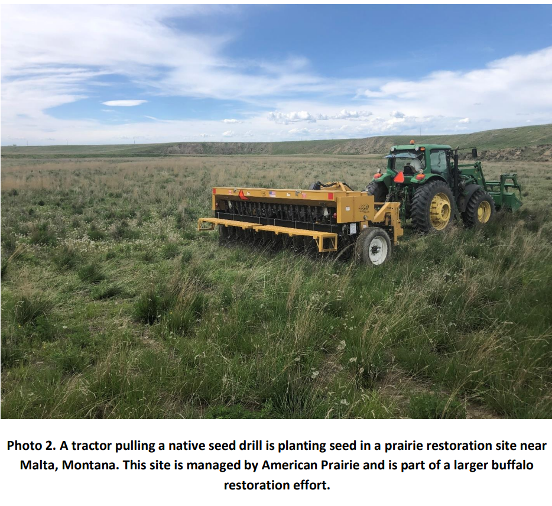 A tractor pulling a native seed drill is planting seed in a prairie restoration site in Montana,