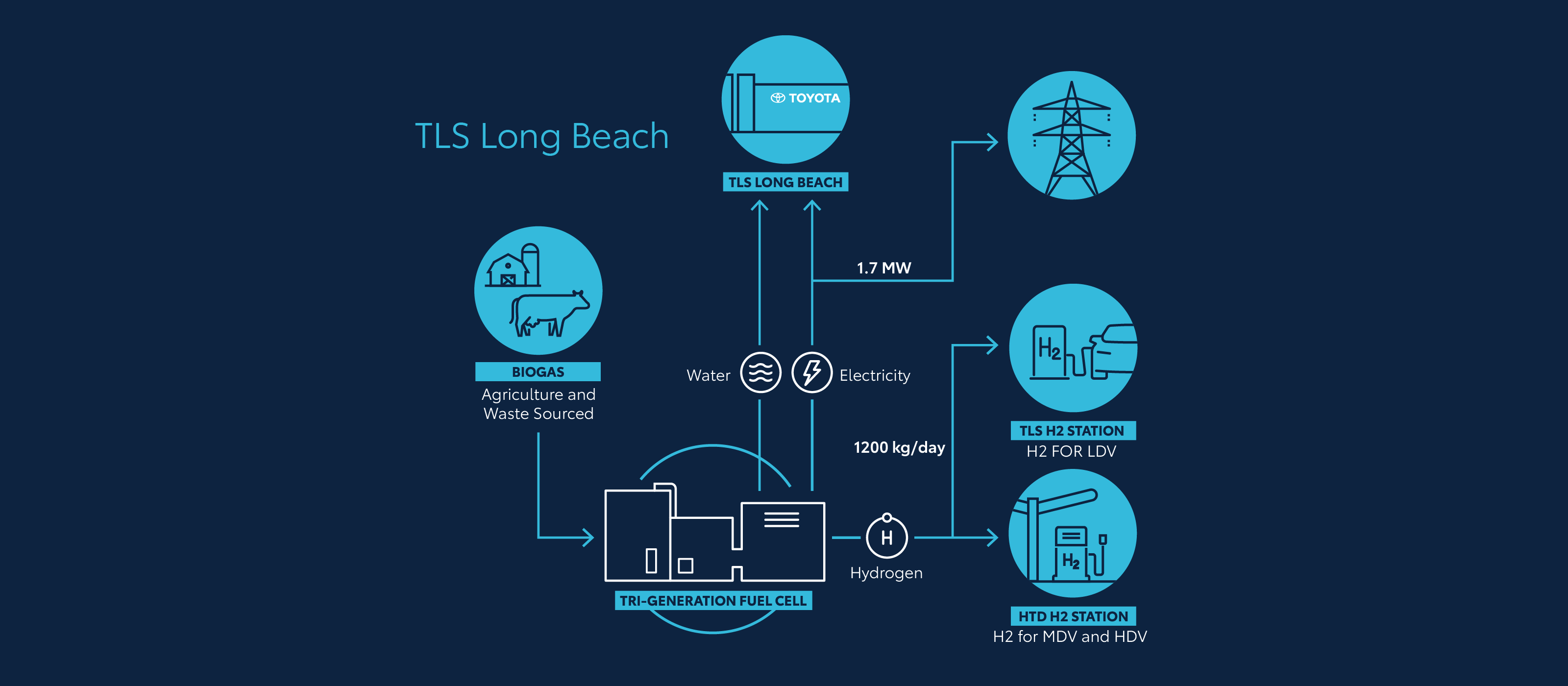 building-future-graphic