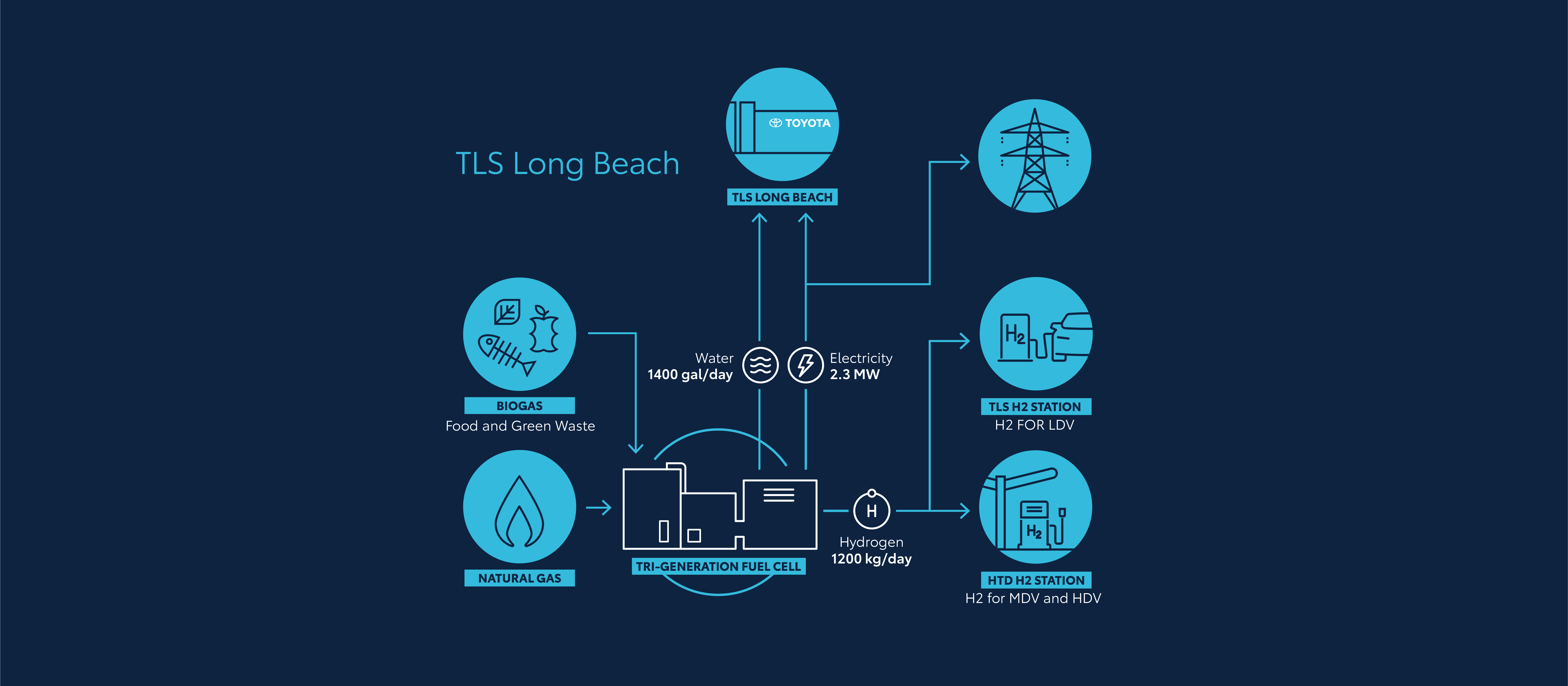 82366 Trigen Infographic_2025_2