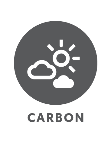 Carbon Icon