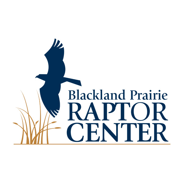 BP_RaptorCenter_Logo-2