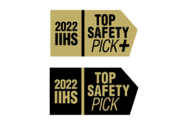 icon of IIHS223