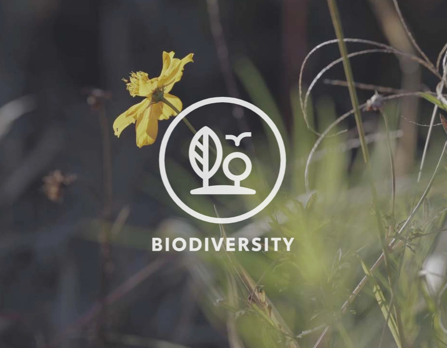 biodiversity icon
