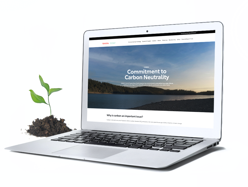 A laptop with a plant sprouting near it.,A laptop with a plant sprouting near it.